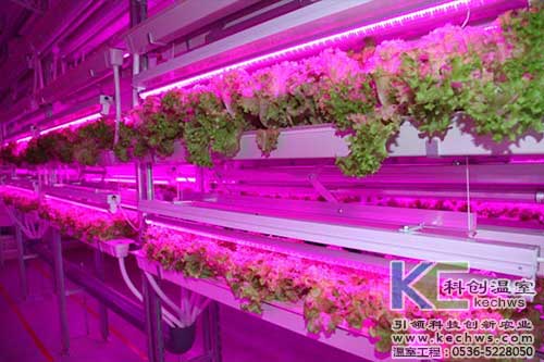 無土栽培，無土栽培技術，無土栽培設備