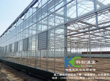 無土栽培，無土栽培技術(shù)，無土栽培設(shè)備