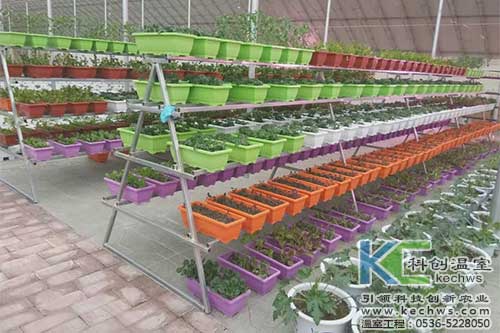 有機質無土栽培,無土栽培,無土栽培技術