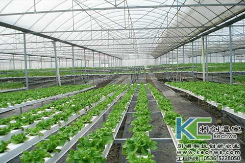 無土栽培，無土栽培技術，無土栽培設備