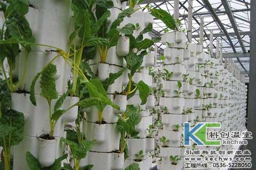無土栽培，無土栽培技術，無土栽培設備