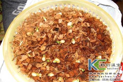 無(wú)土栽培，無(wú)土栽培技術(shù)，無(wú)土栽培基質(zhì)