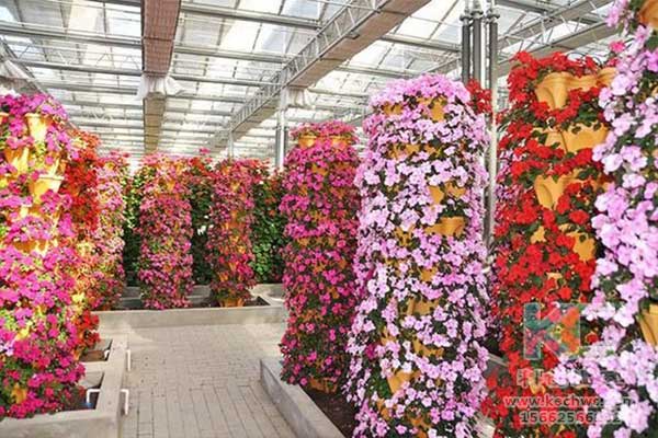 無土栽培，無土栽培技術，無土栽培設備