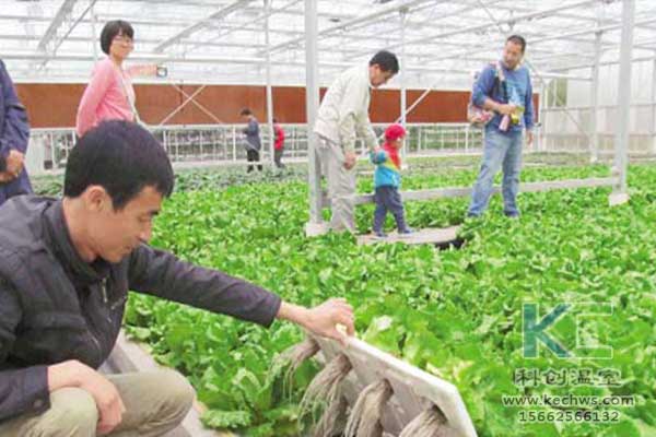 無(wú)土栽培，無(wú)土栽培技術(shù)，無(wú)土栽培設(shè)備