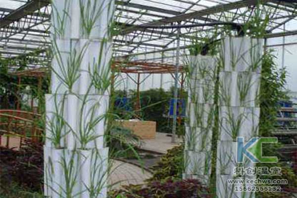 無(wú)土栽培，無(wú)土栽培技術(shù)，無(wú)土栽培設(shè)備