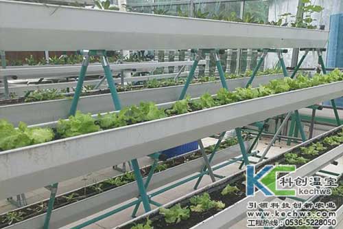 無土栽培，無土栽培技術，無土栽培設備