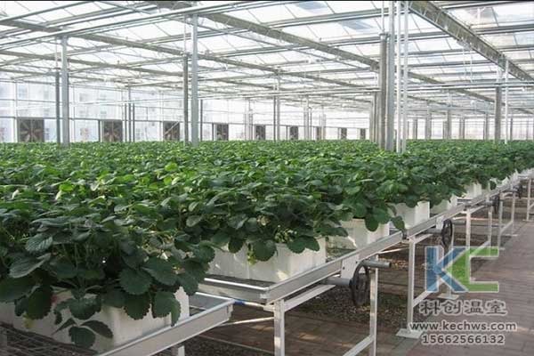 無土栽培，無土栽培技術，無土栽培設備