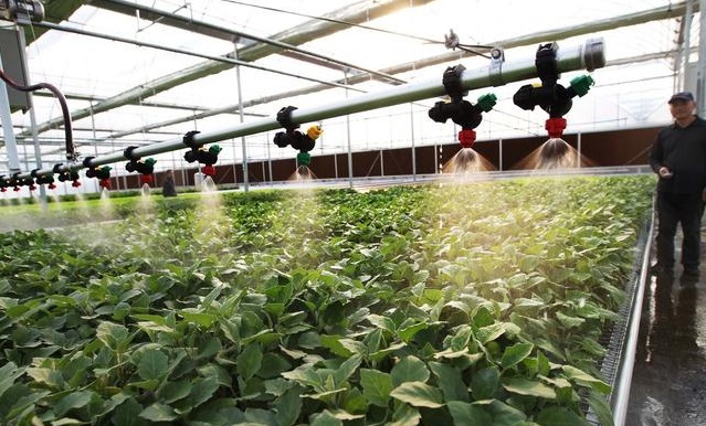 無土栽培，無土栽培技術(shù)，無土栽培設(shè)備