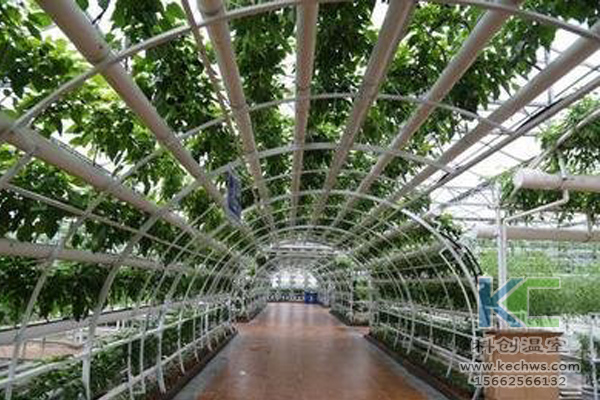 無土栽培，無土栽培技術，無土栽培設備