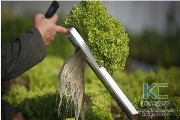 無土栽培，無土栽培技術，無土栽培基質(zhì)