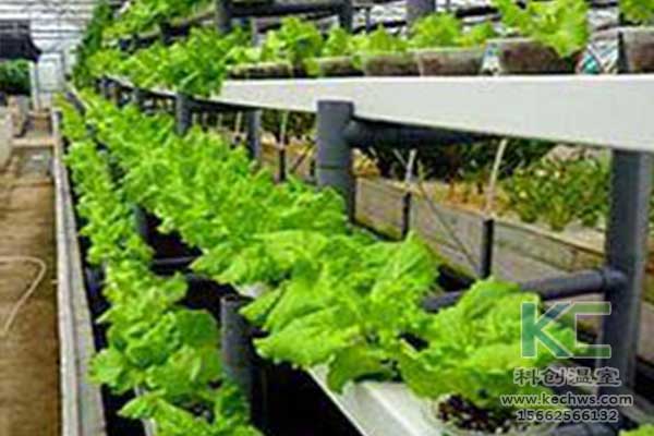 無土栽培，無土栽培技術，無土栽培設備