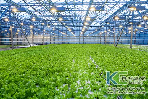 無土栽培，水培，營養液