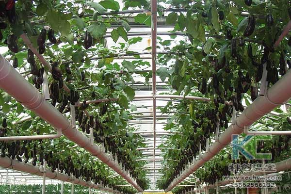 無土栽培，無土栽培技術，無土栽培設備