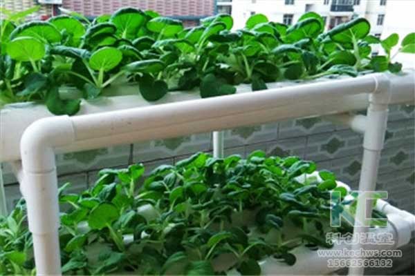 無土栽培，無土栽培技術(shù)，無土栽培設(shè)備