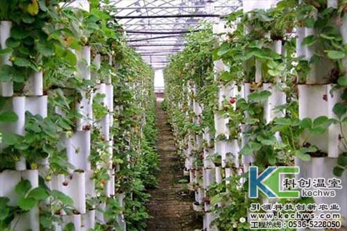 無土栽培，無土栽培技術(shù)，無土栽培設(shè)備