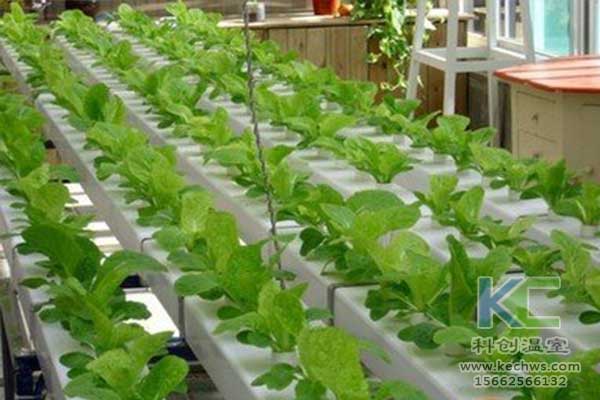 無(wú)土栽培，無(wú)土栽培技術(shù)，無(wú)土栽培設(shè)備