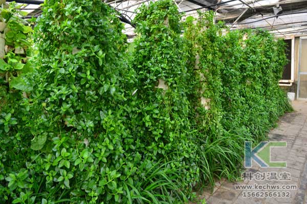 無土栽培，無土栽培技術，無土栽培設備