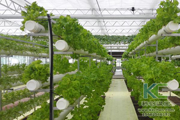 無(wú)土栽培，無(wú)土栽培技術(shù)，無(wú)土栽培設(shè)備