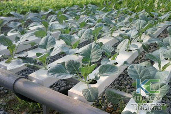 無土栽培，無土栽培技術，無土栽培設備