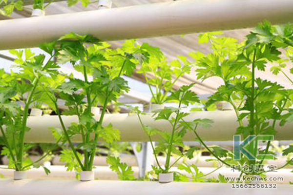 無土栽培,無土栽培技術,無土栽培設備