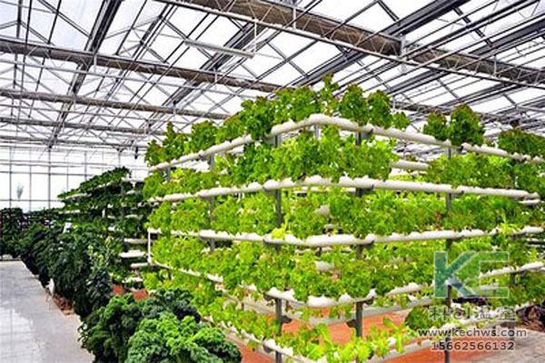 無土栽培，無土栽培技術(shù)，溫室大棚，無土栽培蔬菜