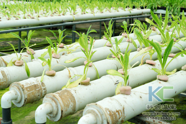 無土栽培，無土栽培技術，無土栽培設備