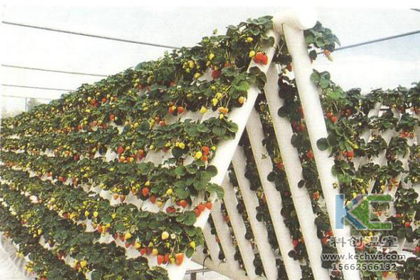 無土栽培，無土栽培技術，無土栽培設備