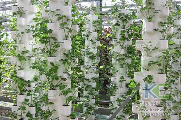 無(wú)土栽培技術(shù),無(wú)土栽培設(shè)備,無(wú)土栽培,溫室大棚