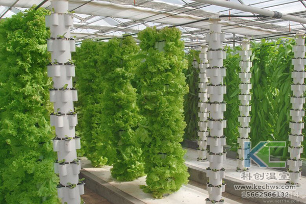 無土栽培，無土栽培技術，無土栽培設備