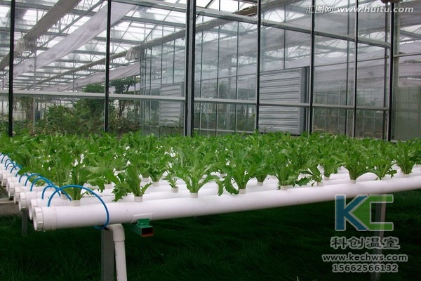無土栽培，無土栽培技術，無土栽培設備
