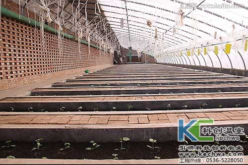 無土栽培，無土栽培技術(shù)，無土栽培設(shè)備