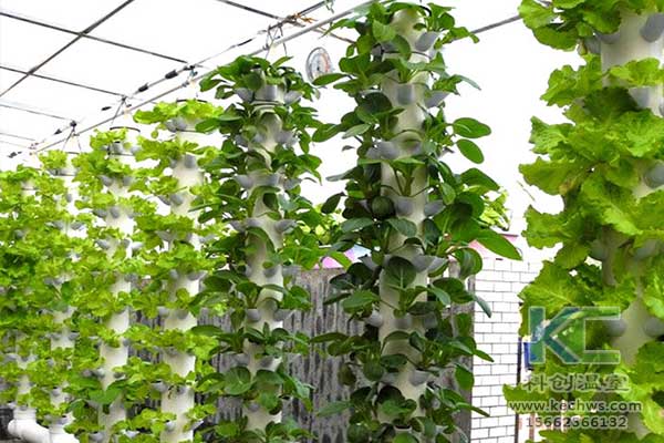 無(wú)土栽培，無(wú)土栽培技術(shù)，無(wú)土栽培設(shè)備