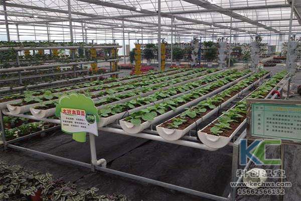 無土栽培，無土栽培技術，無土栽培設備