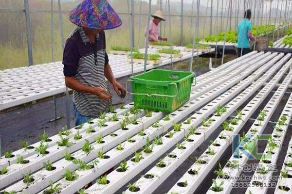 無土栽培，無土栽培技術，無土栽培設備