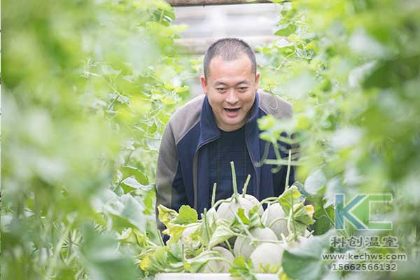 無土栽培，無土栽培技術(shù)，無土栽培設(shè)備