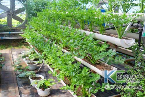 無土栽培，無土栽培技術，無土栽培設備