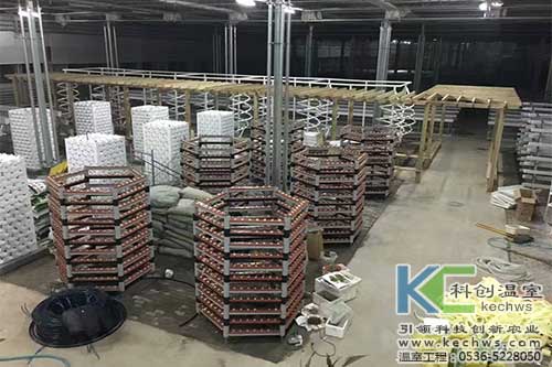 臨沂,無(wú)土栽培,無(wú)土栽培技術(shù)