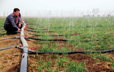 無土栽培，無土栽培技術，無土栽培設備