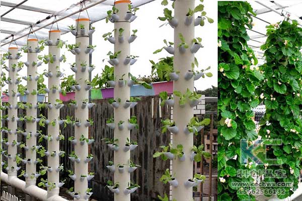 無土栽培，無土栽培技術，無土栽培設備
