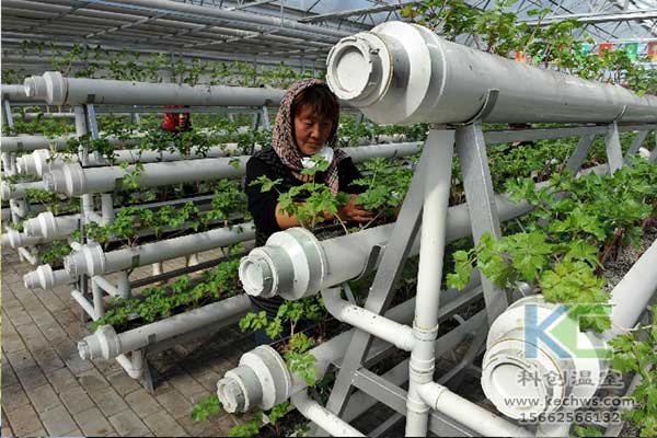 無土栽培，無土栽培技術，無土栽培設備