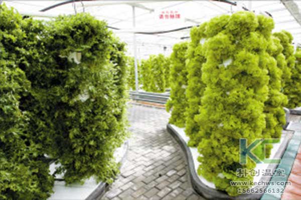 無(wú)土栽培，無(wú)土栽培技術(shù)，無(wú)土栽培設(shè)備