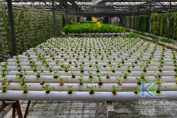無土栽培，無土栽培技術(shù)，無土栽培設(shè)備