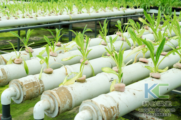 無土栽培，無土栽培技術，無土栽培設備