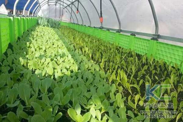 無土栽培，無土栽培技術(shù)，無土栽培設(shè)備