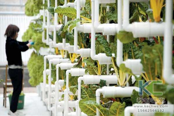 無土栽培，無土栽培技術，無土栽培設備