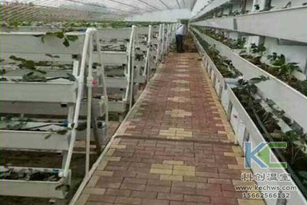 無土栽培，無土栽培技術，無土栽培設備