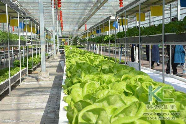 無土栽培，無土栽培技術，無土栽培設備