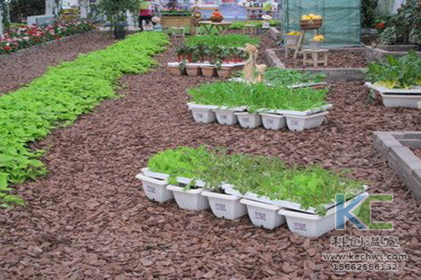 無土栽培，無土栽培技術(shù)，無土栽培設(shè)備