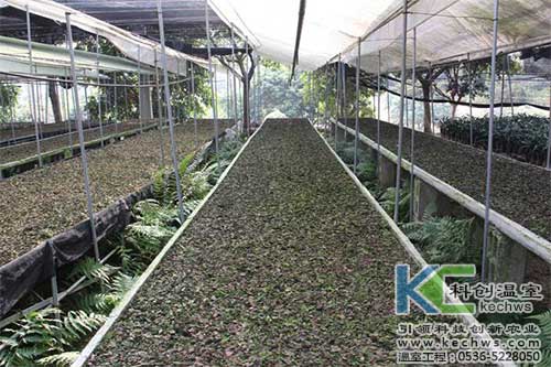 無土栽培，無土栽培技術(shù)，無土栽培設(shè)備