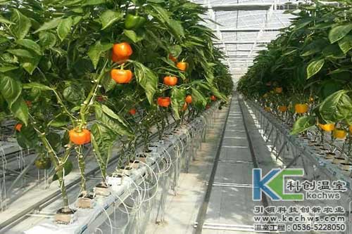 無土栽培，無土栽培技術(shù)，無土栽培設(shè)備